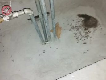 长沙市卫生间测漏水价格明细